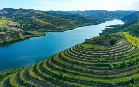 重點(diǎn)行業(yè)VOCs治理“一企一策”！寧夏空氣質(zhì)量持續(xù)改善行動(dòng)實(shí)施方案公開征求意見
