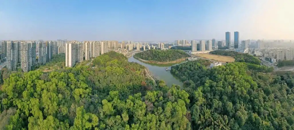 “三進(jìn)三同”攜手共進(jìn)，江門站助力區(qū)縣監(jiān)測(cè)見(jiàn)成效